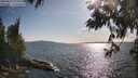 ./images/koeye/fitz-hugh/20250612/fitz-hugh20250612_175507M.jpg