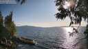 ./images/koeye/fitz-hugh/20250612/fitz-hugh20250612_184510M.jpg