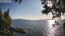 ./images/koeye/fitz-hugh/20250612/fitz-hugh20250612_185010M.jpg