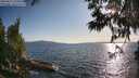 ./images/koeye/fitz-hugh/20250612/fitz-hugh20250612_190509M.jpg