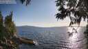 ./images/koeye/fitz-hugh/20250612/fitz-hugh20250612_191009M.jpg