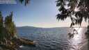 ./images/koeye/fitz-hugh/20250612/fitz-hugh20250612_192509M.jpg