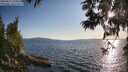 ./images/koeye/fitz-hugh/20250612/fitz-hugh20250612_193009M.jpg