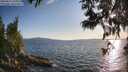 ./images/koeye/fitz-hugh/20250612/fitz-hugh20250612_194009M.jpg