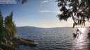 ./images/koeye/fitz-hugh/20250612/fitz-hugh20250612_194507M.jpg