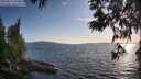 ./images/koeye/fitz-hugh/20250612/fitz-hugh20250612_195009M.jpg