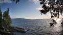 ./images/koeye/fitz-hugh/20250612/fitz-hugh20250612_195507M.jpg