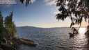 ./images/koeye/fitz-hugh/20250612/fitz-hugh20250612_200010M.jpg