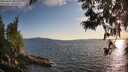 ./images/koeye/fitz-hugh/20250612/fitz-hugh20250612_200509M.jpg
