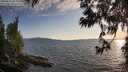 ./images/koeye/fitz-hugh/20250612/fitz-hugh20250612_201008M.jpg