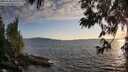 ./images/koeye/fitz-hugh/20250612/fitz-hugh20250612_202008M.jpg