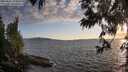 ./images/koeye/fitz-hugh/20250612/fitz-hugh20250612_203008M.jpg