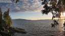 ./images/koeye/fitz-hugh/20250612/fitz-hugh20250612_204009M.jpg