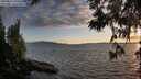 ./images/koeye/fitz-hugh/20250612/fitz-hugh20250612_204509M.jpg