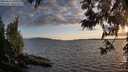 ./images/koeye/fitz-hugh/20250612/fitz-hugh20250612_205009M.jpg