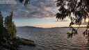 ./images/koeye/fitz-hugh/20250612/fitz-hugh20250612_205509M.jpg