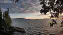 ./images/koeye/fitz-hugh/20250612/fitz-hugh20250612_210009M.jpg