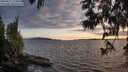 ./images/koeye/fitz-hugh/20250612/fitz-hugh20250612_211009M.jpg