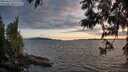 ./images/koeye/fitz-hugh/20250612/fitz-hugh20250612_211509M.jpg