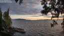 ./images/koeye/fitz-hugh/20250612/fitz-hugh20250612_212009M.jpg