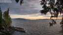 ./images/koeye/fitz-hugh/20250612/fitz-hugh20250612_212507M.jpg