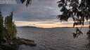 ./images/koeye/fitz-hugh/20250612/fitz-hugh20250612_213009M.jpg