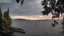 ./images/koeye/fitz-hugh/20250612/fitz-hugh20250612_214509M.jpg