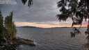 ./images/koeye/fitz-hugh/20250612/fitz-hugh20250612_215010M.jpg