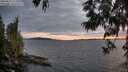 ./images/koeye/fitz-hugh/20250612/fitz-hugh20250612_215508M.jpg