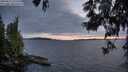 ./images/koeye/fitz-hugh/20250612/fitz-hugh20250612_221009M.jpg