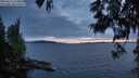 ./images/koeye/fitz-hugh/20250612/fitz-hugh20250612_222009M.jpg