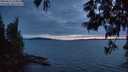 ./images/koeye/fitz-hugh/20250612/fitz-hugh20250612_223009M.jpg