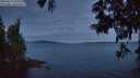 ./images/koeye/fitz-hugh/20250613/fitz-hugh20250613_043009M.jpg