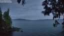./images/koeye/fitz-hugh/20250613/fitz-hugh20250613_043509M.jpg