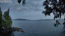 ./images/koeye/fitz-hugh/20250613/fitz-hugh20250613_044507M.jpg