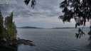 ./images/koeye/fitz-hugh/20250613/fitz-hugh20250613_050009M.jpg