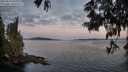 ./images/koeye/fitz-hugh/20250613/fitz-hugh20250613_051008M.jpg