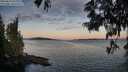 ./images/koeye/fitz-hugh/20250613/fitz-hugh20250613_053509M.jpg