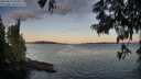 ./images/koeye/fitz-hugh/20250613/fitz-hugh20250613_054509M.jpg