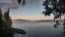 ./images/koeye/fitz-hugh/20250613/fitz-hugh20250613_055009M.jpg