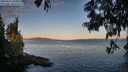./images/koeye/fitz-hugh/20250613/fitz-hugh20250613_060011M.jpg