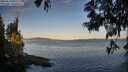 ./images/koeye/fitz-hugh/20250613/fitz-hugh20250613_060511M.jpg