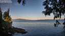 ./images/koeye/fitz-hugh/20250613/fitz-hugh20250613_061011M.jpg