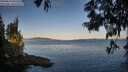 ./images/koeye/fitz-hugh/20250613/fitz-hugh20250613_061510M.jpg