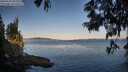 ./images/koeye/fitz-hugh/20250613/fitz-hugh20250613_062011M.jpg