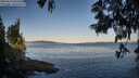 ./images/koeye/fitz-hugh/20250613/fitz-hugh20250613_062508M.jpg