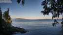 ./images/koeye/fitz-hugh/20250613/fitz-hugh20250613_063011M.jpg
