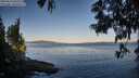 ./images/koeye/fitz-hugh/20250613/fitz-hugh20250613_063509M.jpg