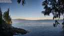 ./images/koeye/fitz-hugh/20250613/fitz-hugh20250613_064011M.jpg