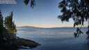 ./images/koeye/fitz-hugh/20250613/fitz-hugh20250613_064510M.jpg